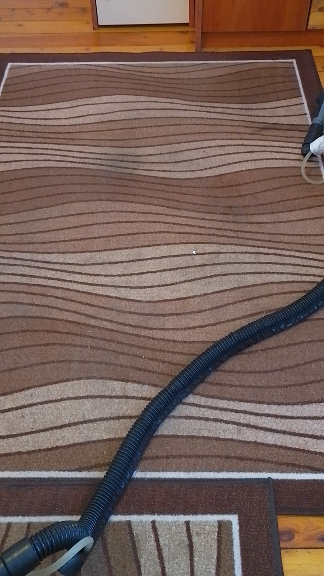 Before photo for Upholstery Cleaning