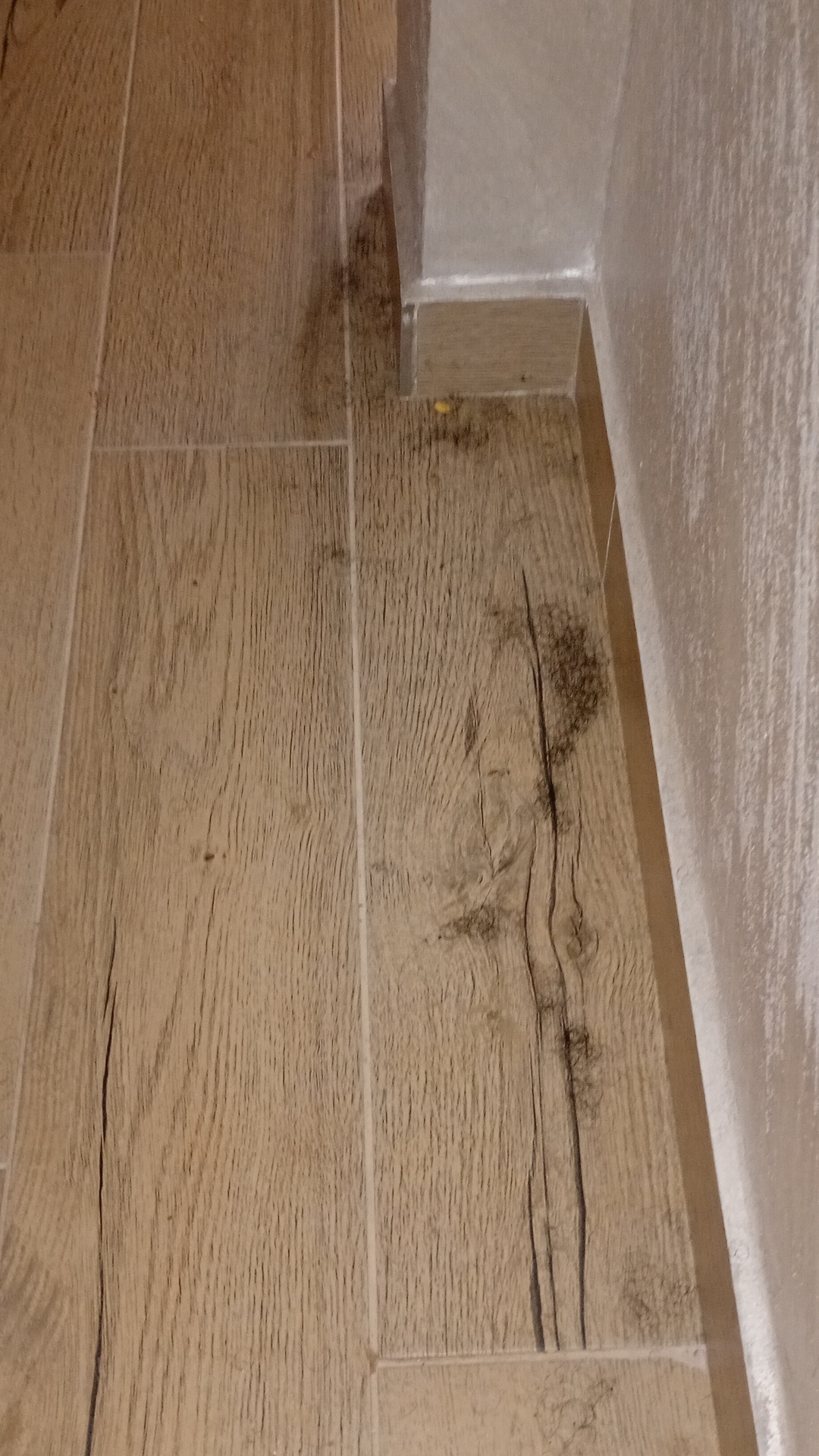 Before photo for End of Tenancy Cleaning