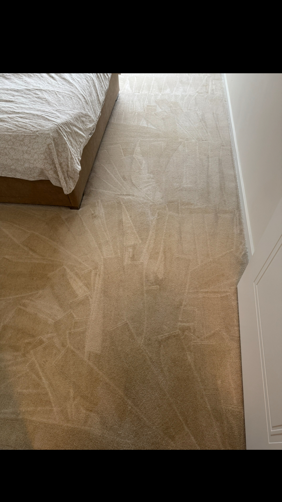 After photo for Upholstery Cleaning