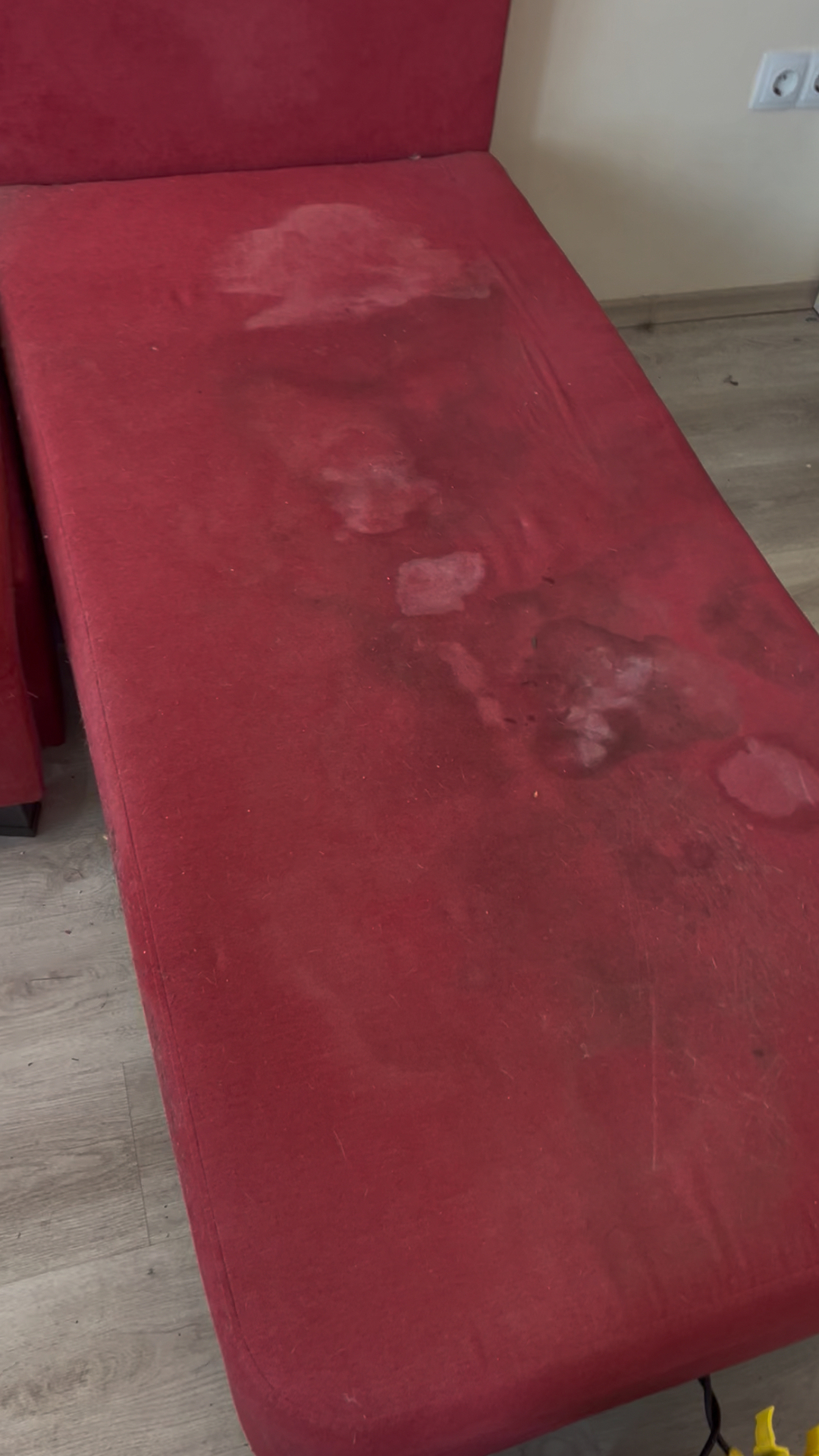 Before photo for Upholstery Cleaning