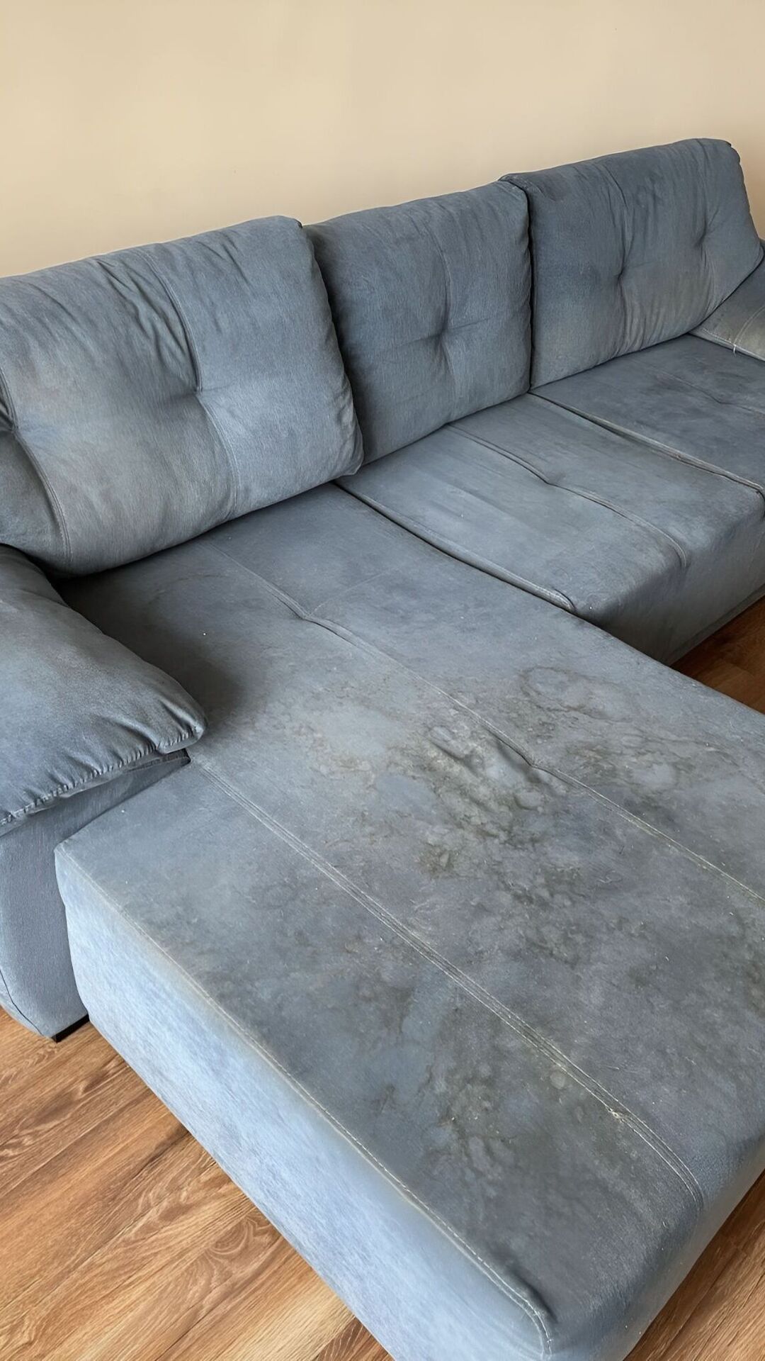 Before photo for Upholstery Cleaning